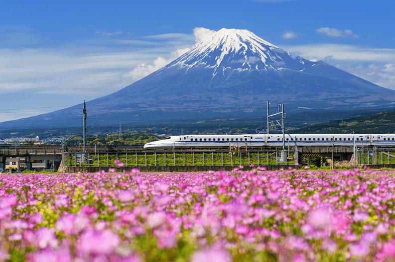 MÙA THU NHẬT BẢN TOKYO – HOKKAIDO 2024: HÀ NỘI – NIKKO – TOKYO – CHITOSE – NOBORIBETSU – SAPPORO 7N6Đ – BAY JL MÙA THU NHẬT BẢN TOKYO – HOKKAIDO 2024: HÀ NỘI – NIKKO – TOKYO – CHITOSE – NOBORIBETSU – SAPPORO 7N6Đ – BAY JL