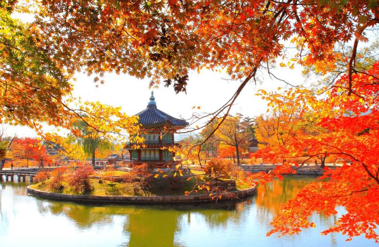 TOUR HÀN QUỐC MÙA LÁ ĐỎ: HÀ NỘI – SEOUL – NAMI – SEOUL GRAND PARK 5N4Đ – BAY VN TOUR HÀN QUỐC MÙA LÁ ĐỎ: HÀ NỘI – SEOUL – NAMI – SEOUL GRAND PARK 5N4Đ – BAY VN