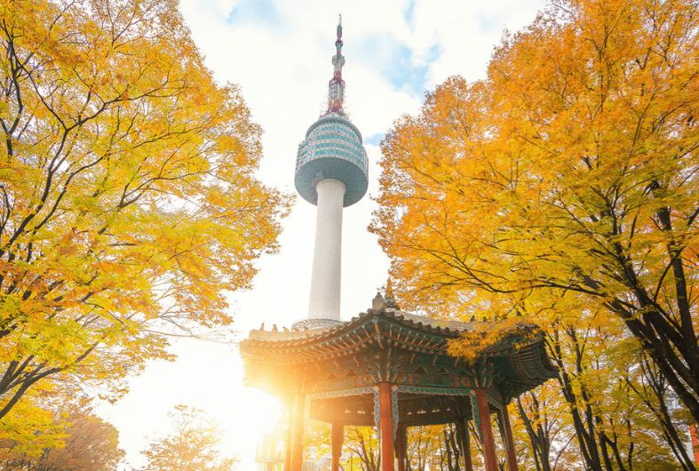 TOUR HÀN QUỐC MÙA LÁ ĐỎ: HÀ NỘI – SEOUL – NAMI – SEOUL GRAND PARK 5N4Đ – BAY VN TOUR HÀN QUỐC MÙA LÁ ĐỎ: HÀ NỘI – SEOUL – NAMI – SEOUL GRAND PARK 5N4Đ – BAY VN