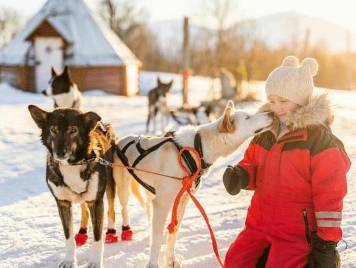 TOUR KHÁM PHÁ CHÂU BẮC CỰC VÀ ĐÓN GIÁNG SINH TẠI QUÊ HƯƠNG ÔNG GIÀ NOEL 11N10Đ – BAY QR TOUR KHÁM PHÁ CHÂU BẮC CỰC VÀ ĐÓN GIÁNG SINH TẠI QUÊ HƯƠNG ÔNG GIÀ NOEL 11N10Đ – BAY QR