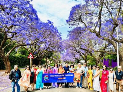 KHÁM PHÁ NAM PHI MÙA PHƯỢNG TÍM & DU THUYỀN XEM CÁ VOI 8N7Đ – BAY SINGAPORE AIRLINES