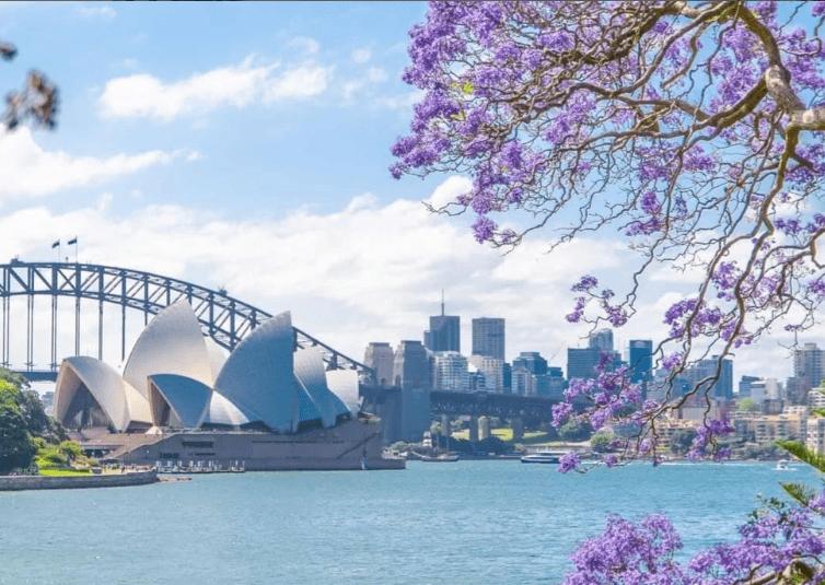 TOUR DU LỊCH ÚC MÙA PHƯỢNG TÍM: HÀ NỘI – SYDNEY– DANDENONG– MELBOURNE – HÀ NỘI 7N6Đ – BAY VN TOUR DU LỊCH ÚC MÙA PHƯỢNG TÍM: HÀ NỘI – SYDNEY– DANDENONG– MELBOURNE – HÀ NỘI 7N6Đ – BAY VN